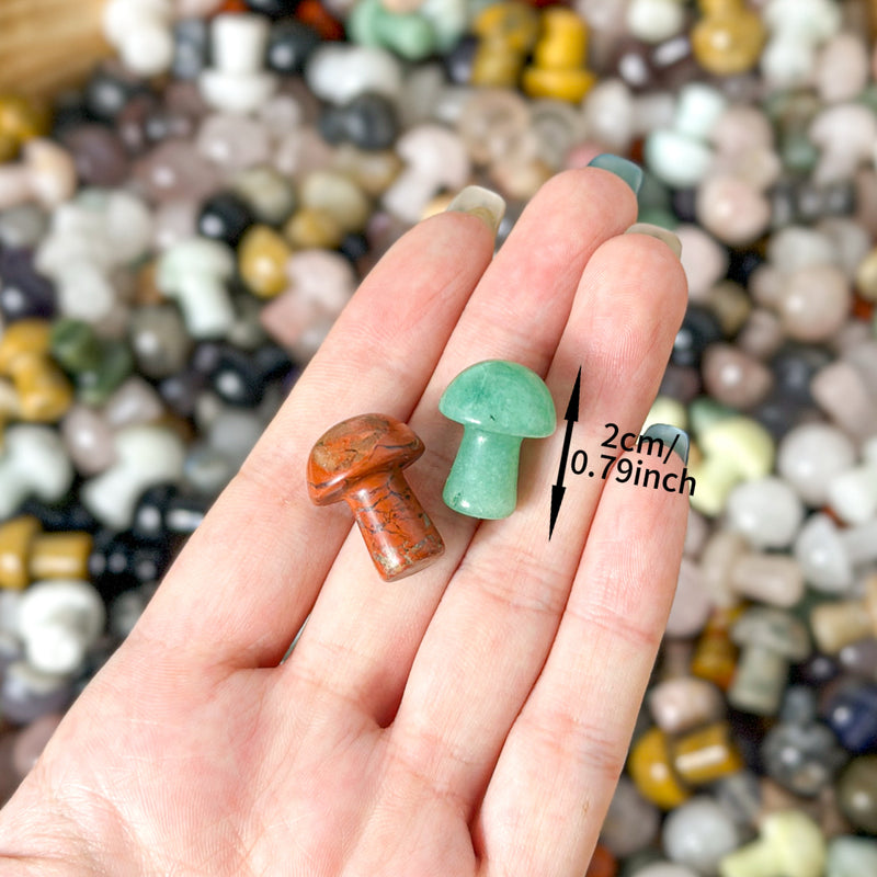 Mini mushroom Scoop